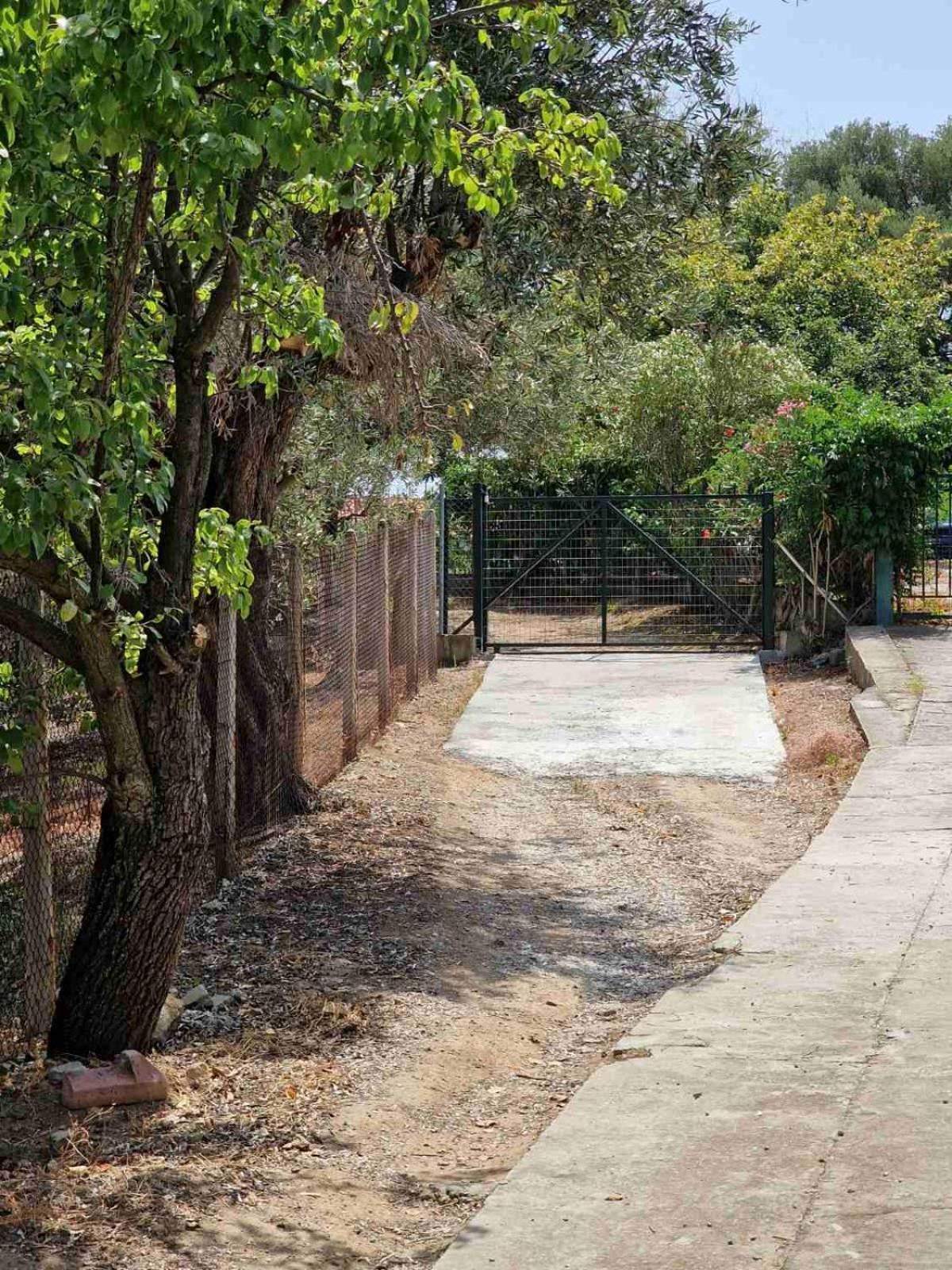 Willa Stella'S Garden PalaiónTsiflíkion Zewnętrze zdjęcie